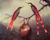 马丁约翰逊赫德 - Two Hummingbirds Garding an Egg